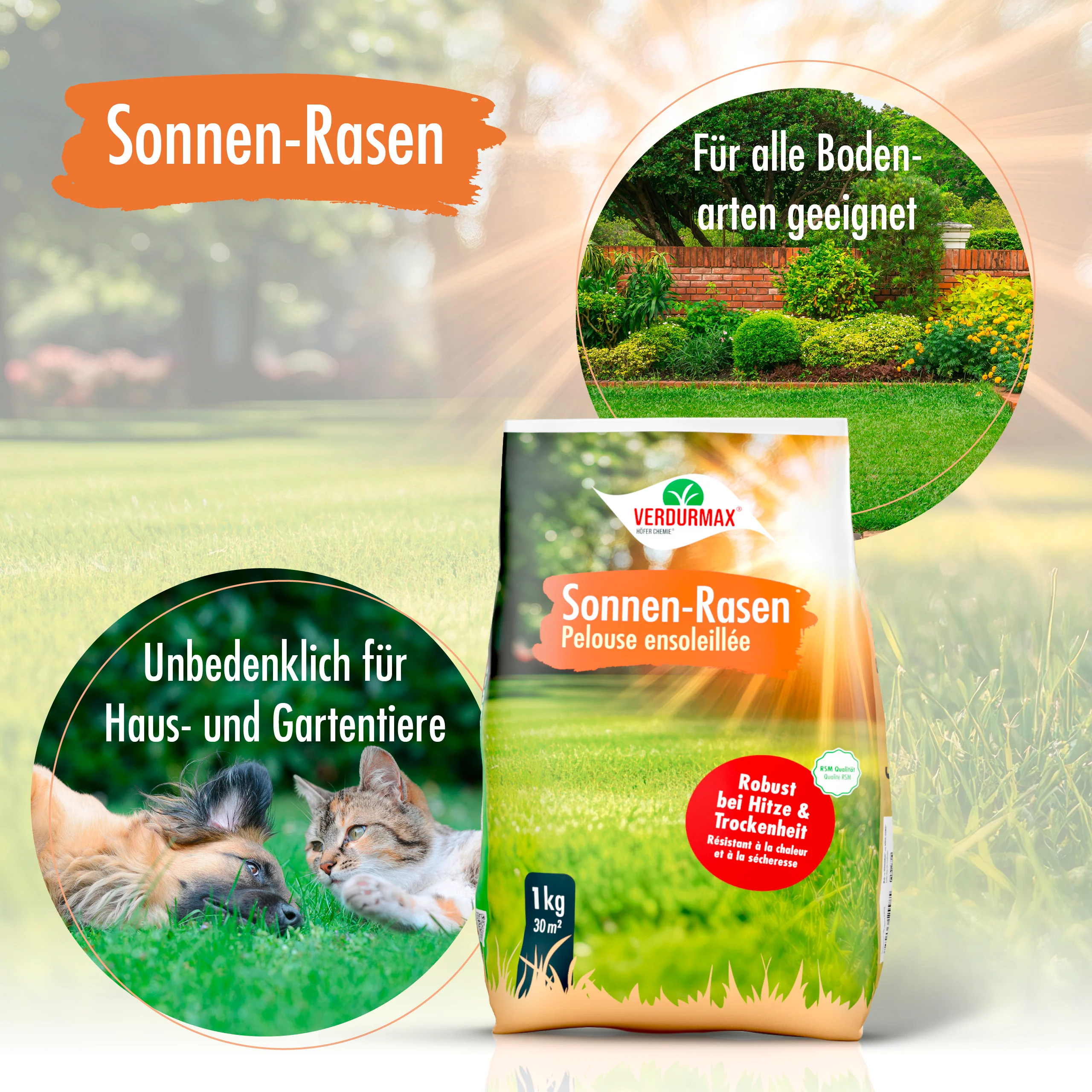 1 kg VERDURMAX® Trockenrasen Samen - Image 5