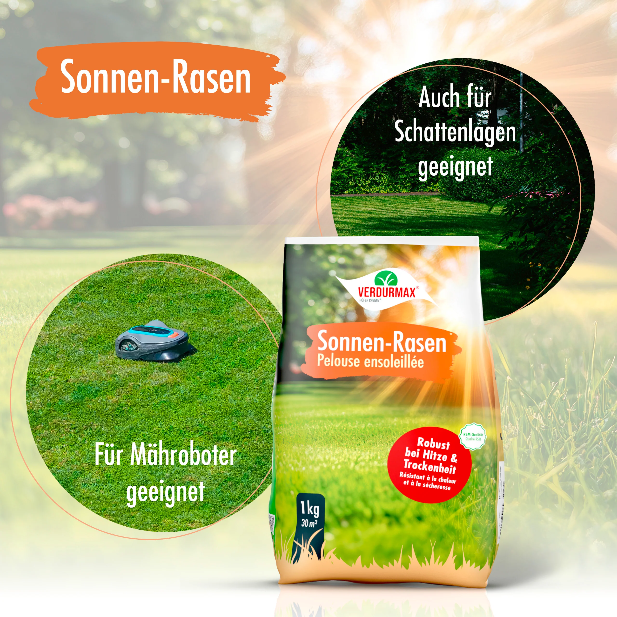 1 kg VERDURMAX® Trockenrasen Samen - Image 6