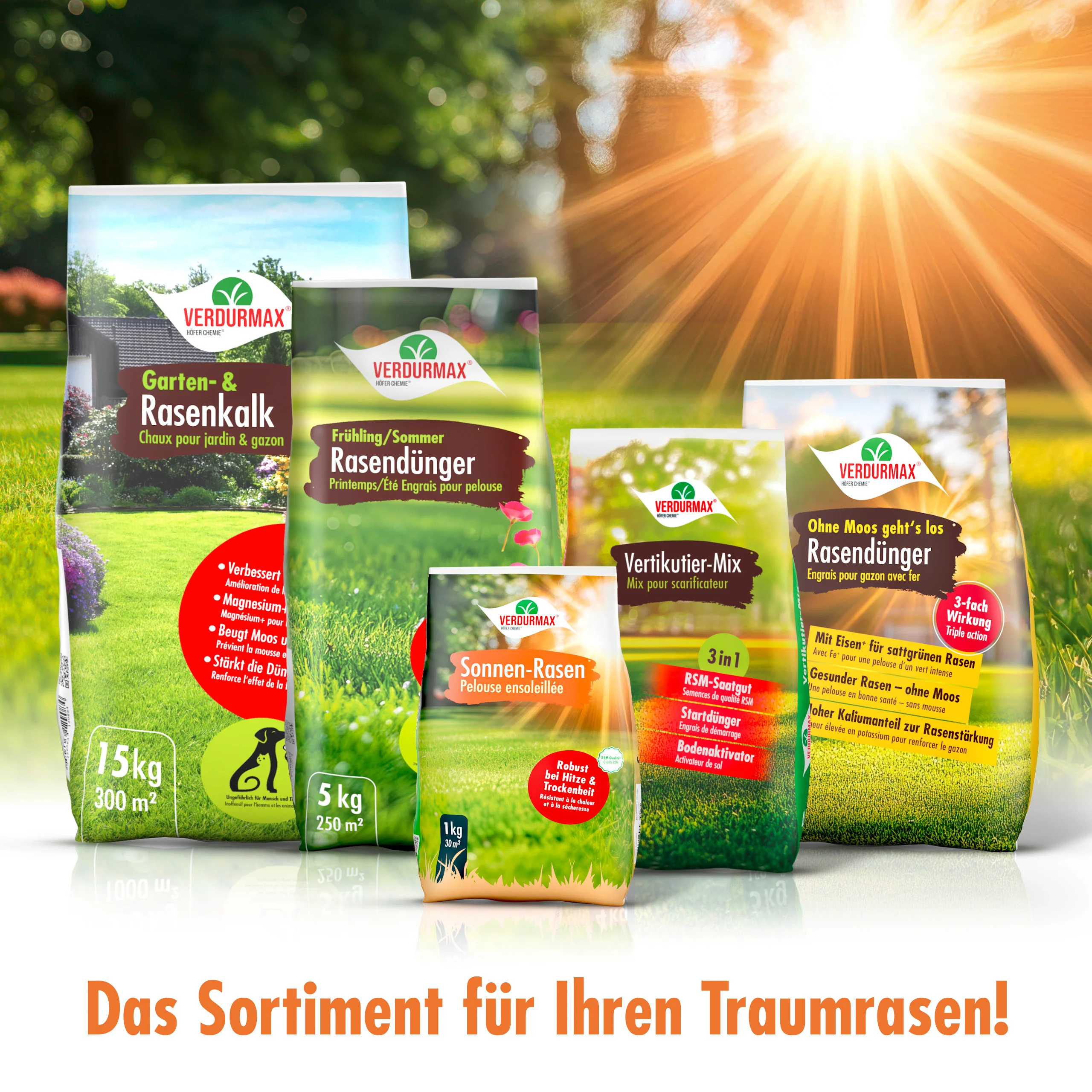 1 kg VERDURMAX® Trockenrasen Samen - Image 7
