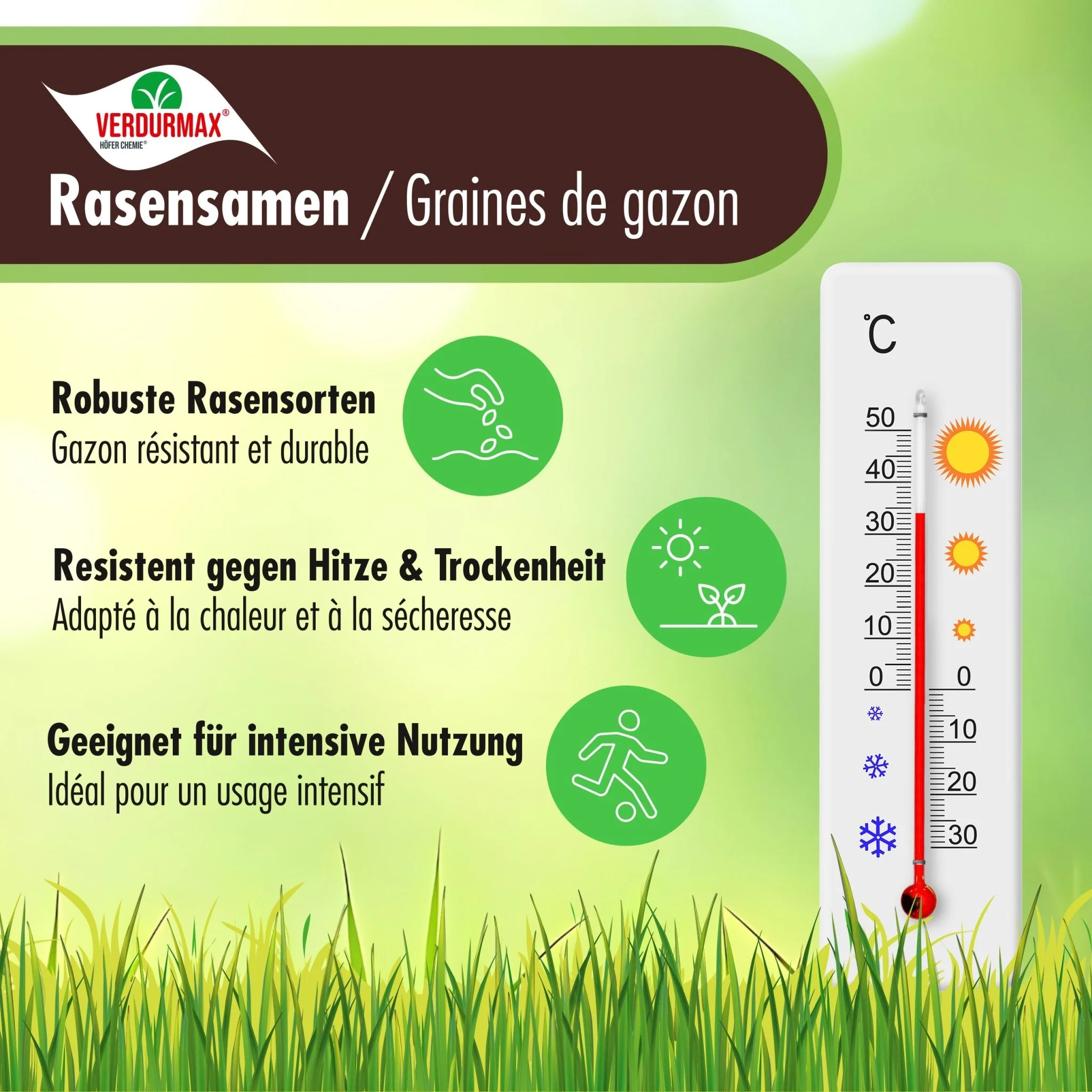 1 kg VERDURMAX® Rasensamen - Image 2