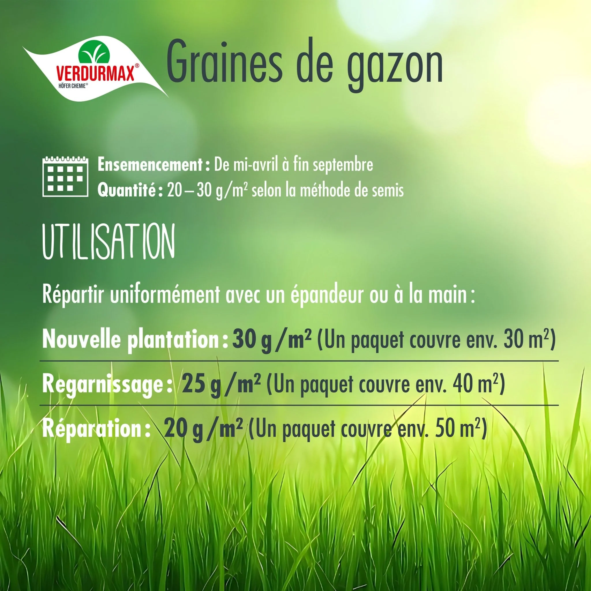 1 kg VERDURMAX® Rasensamen - Image 7