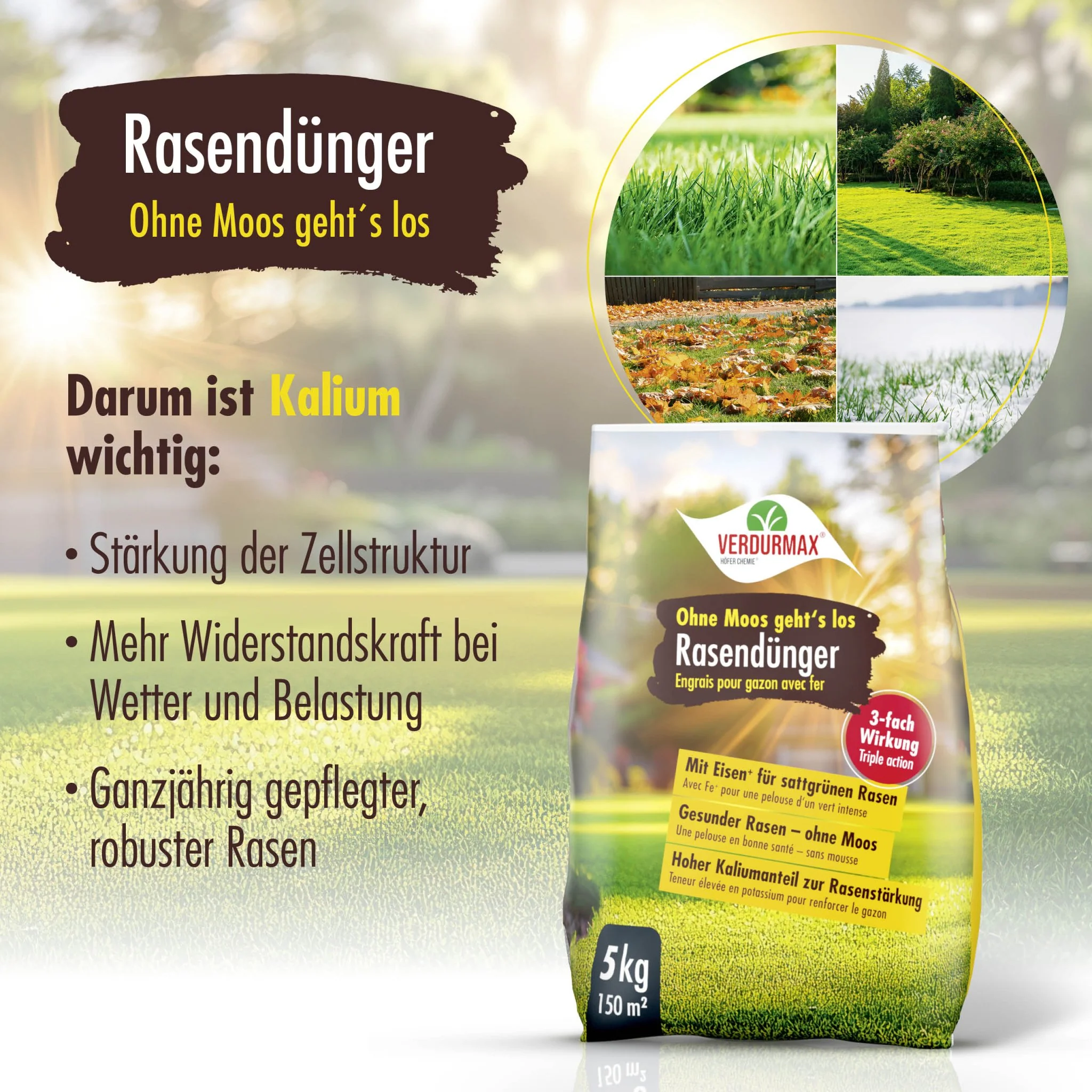 5 kg VERDURMAX® Rasendünger mit Eisen - Ohne Moos geht´s los - Image 4
