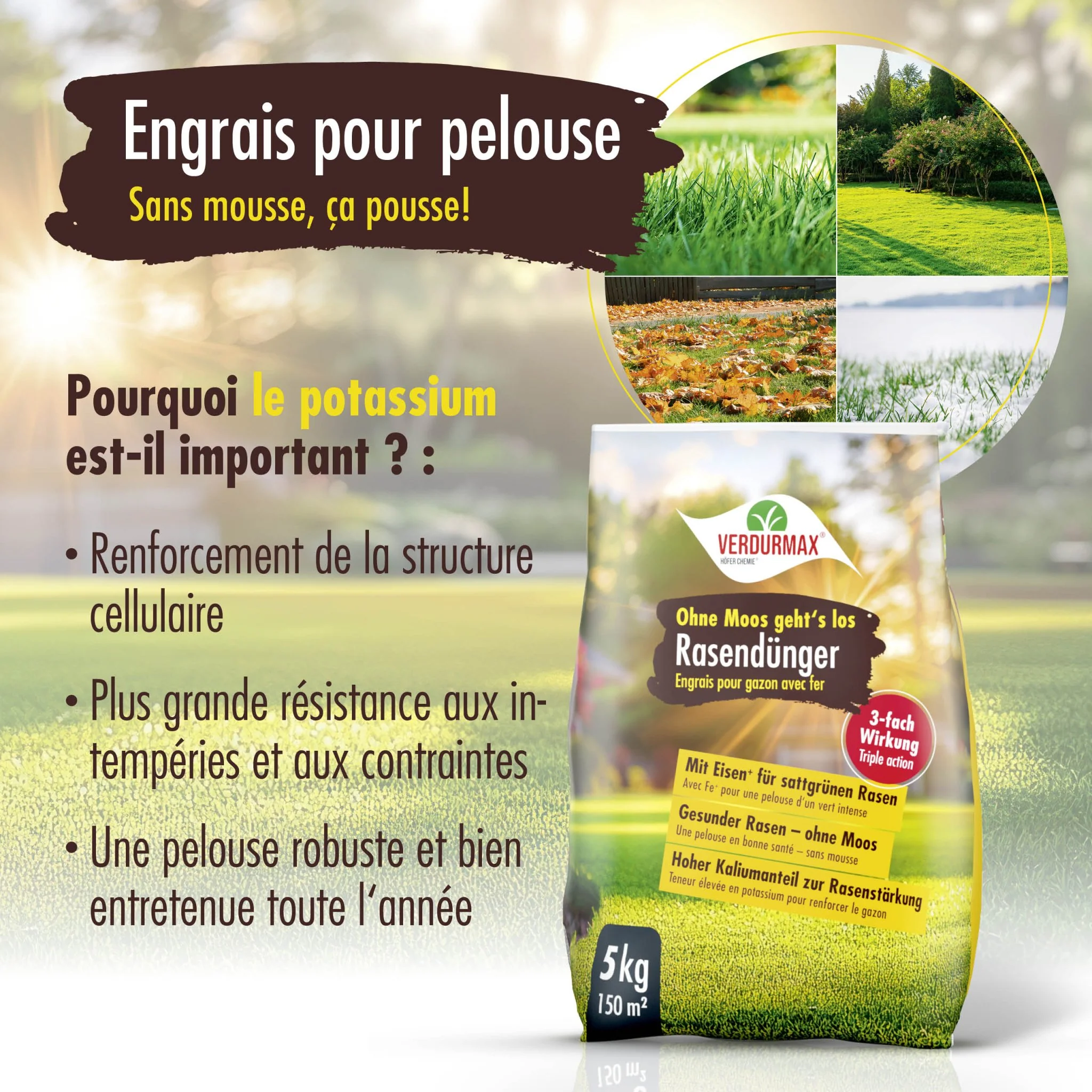 5 kg VERDURMAX® Rasendünger mit Eisen - Ohne Moos geht´s los - Image 9