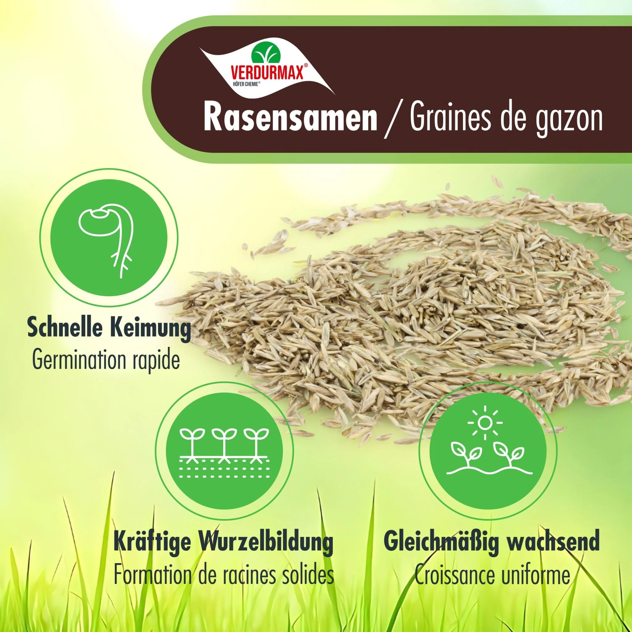 5 kg VERDURMAX® Rasensamen - Image 3